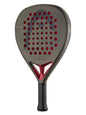Coello Motion 2026